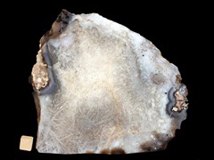 k5004