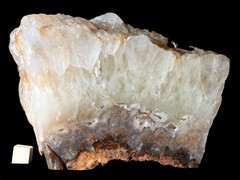 k5019