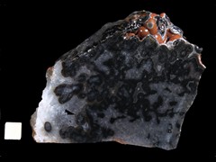 k5046