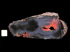 k5067