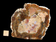k5077
