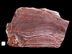 k5092