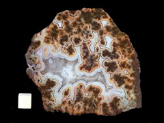 k5095