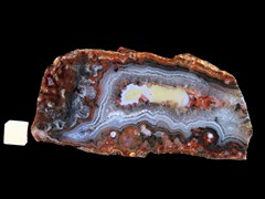 k5105