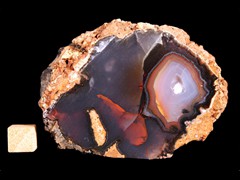 k5135