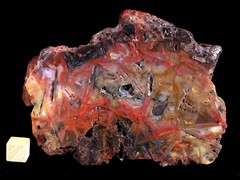 k5144