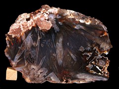 k5147