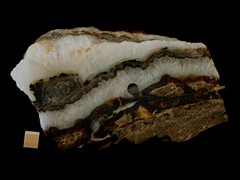 k5163-