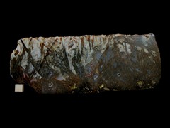 k5165-