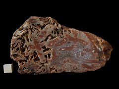 k5166-