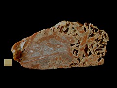 k5167-