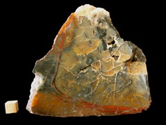 k5169-