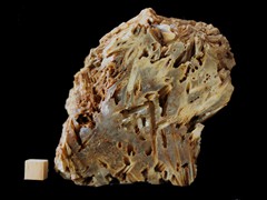 k5174-