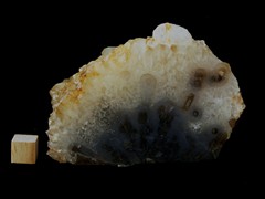 k5187!IMG_4309