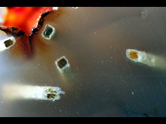 k5196-1-!IMG_4321