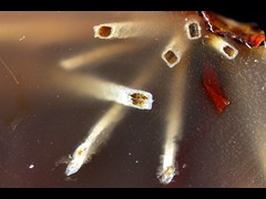 k5196-2-!IMG_4322