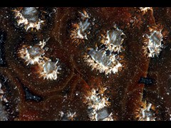 k5214-1!IMG_4359
