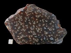 k5214-IMG_4358