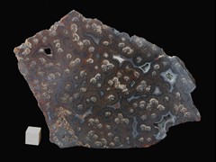 k5215-IMG_4361