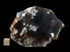 k5217-IMG_4363