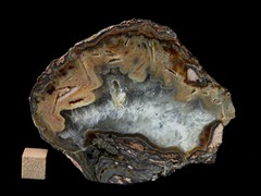k5219-IMG_4367