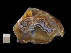 k5224-IMG_4374