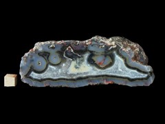 k5233-IMG_4396