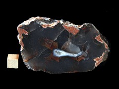 k5240-IMG_4409