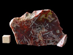 k5243-IMG_4413
