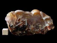 k5246-IMG_4416