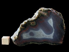 k5250-IMG_4422-350