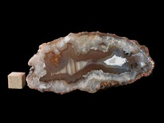 k5252-IMG_4426