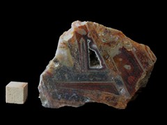 k5254IMG_4431