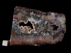 k5256-IMG_4433