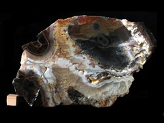 k5262-IMG_4441