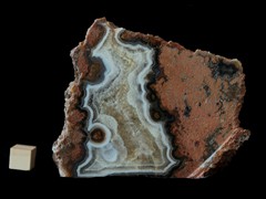 k5264-IMG_4446
