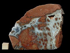 k5265-IMG_4447