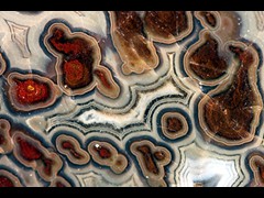 k5266-2-IMG_4451