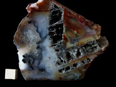 k5268-IMG_4458