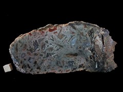 k5270-IMG_4461