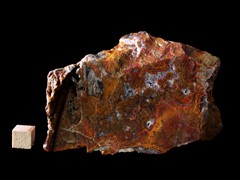 k5277-IMG_4471