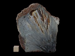 k5282-IMG_4478