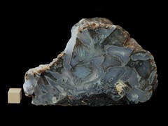 k5283-IMG_4479