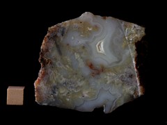 k5292-IMG_4489