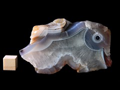 k5304-IMG_4504