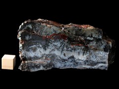k5310-IMG_4511