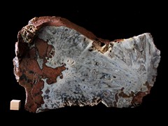 k5315- IMG_4518