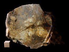 k5319-IMG_4524