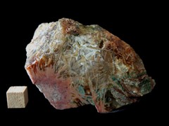 k5333-IMG_4545