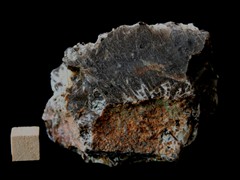k5335-IMG_4547